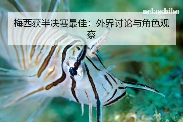 梅西获半决赛最佳：外界讨论与角色观察